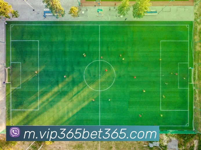 战术分析频道